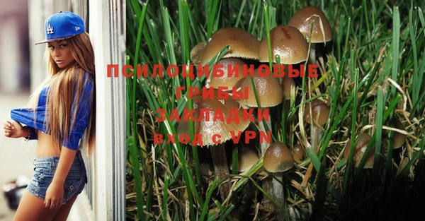 таблы Армянск