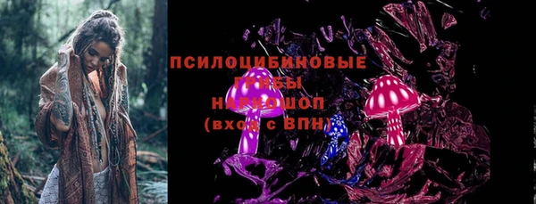 прущая мука Арсеньев