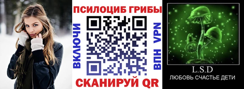 Галлюциногенные грибы GOLDEN TEACHER  Купить где  Кола 